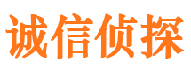 岗巴寻人公司